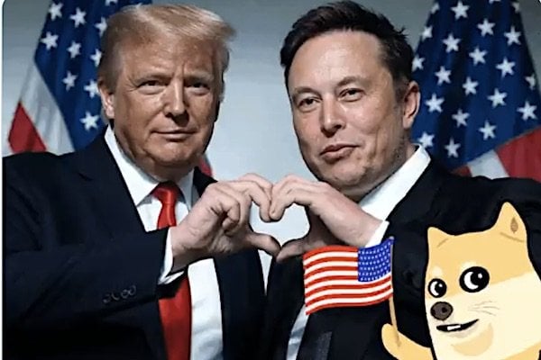 Trump and Musk consider giving $5,000 DOGE dividend back to taxpayers * WorldNetDaily * by Bob Unruh
