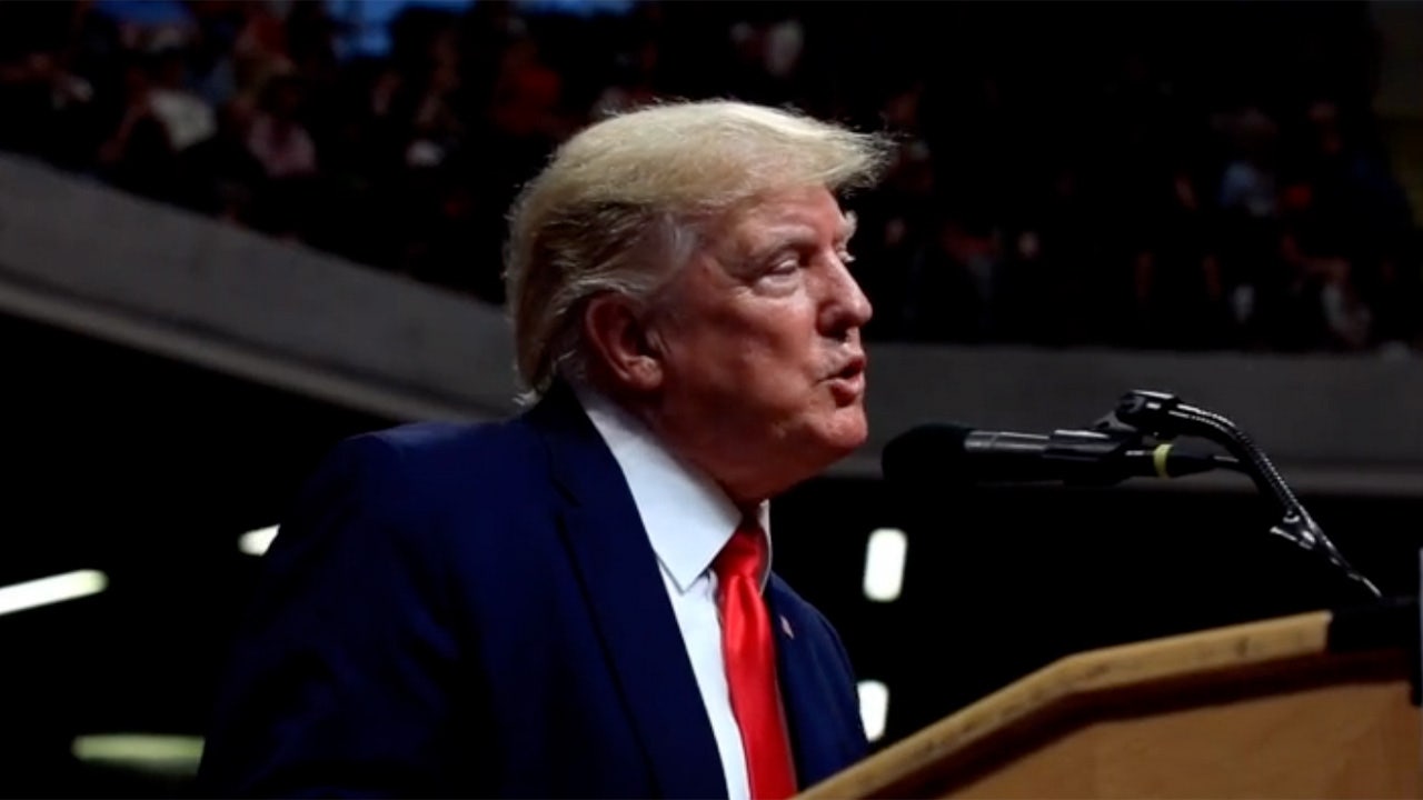 NYT opinion essay admits Trump might have a case on birthright citizenship move | Fox News