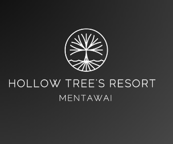 Hollow Tree Resort Profile Picture
