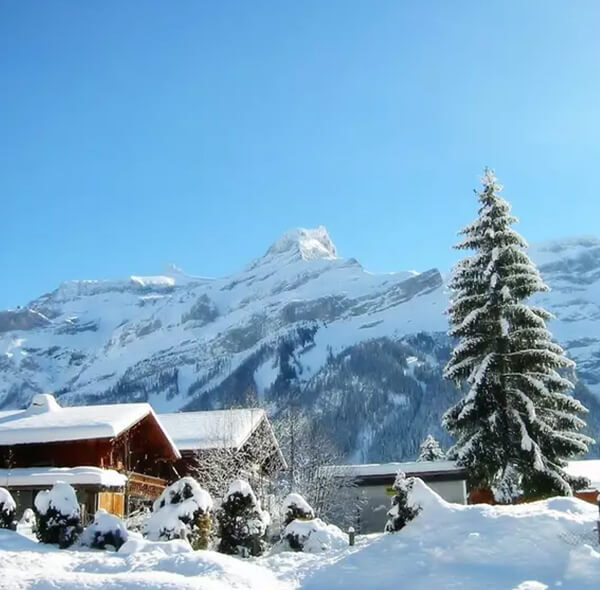 5N/6D Shimla Manali Honeymoon Package By Ac Volvo + Cab - Blooming Himalaya