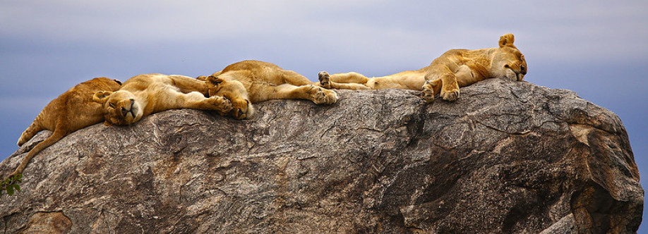 Heart of Africa Expedition Profile Picture