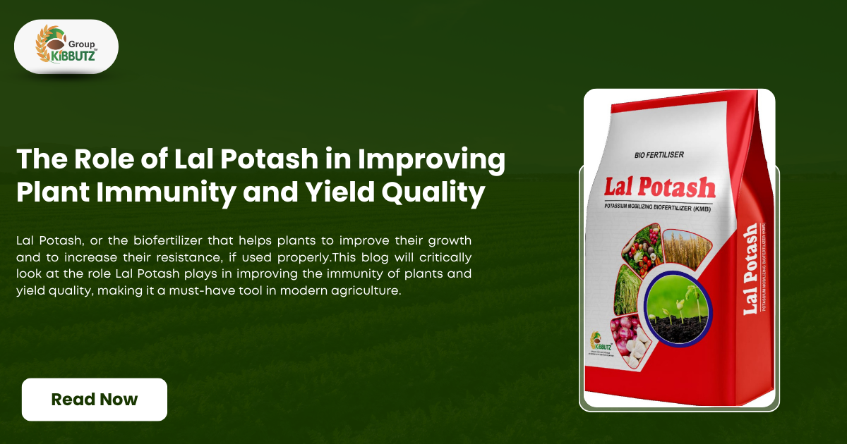 Lal Potash Benefits for Crops: Unlocking Higher Yields and Quality