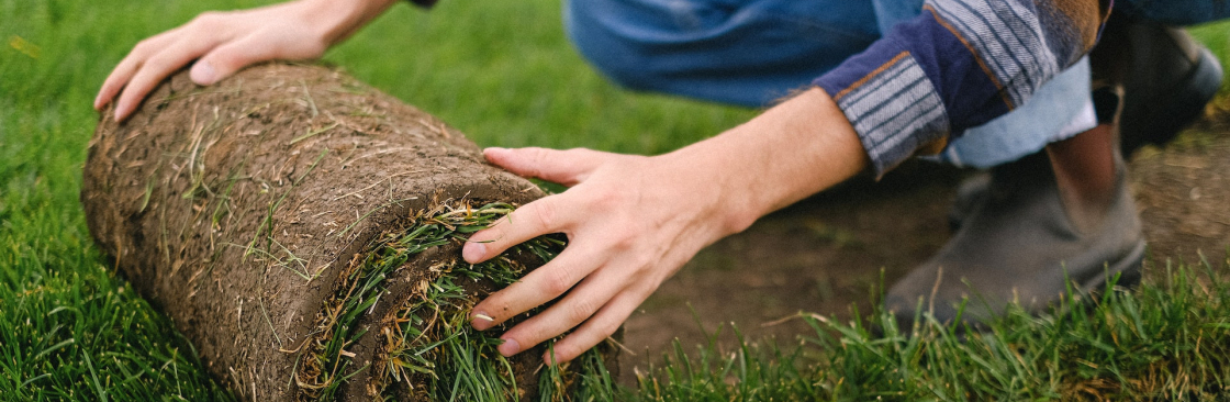 Turf Installation Sydney Turf Laying Sydney Cover Image