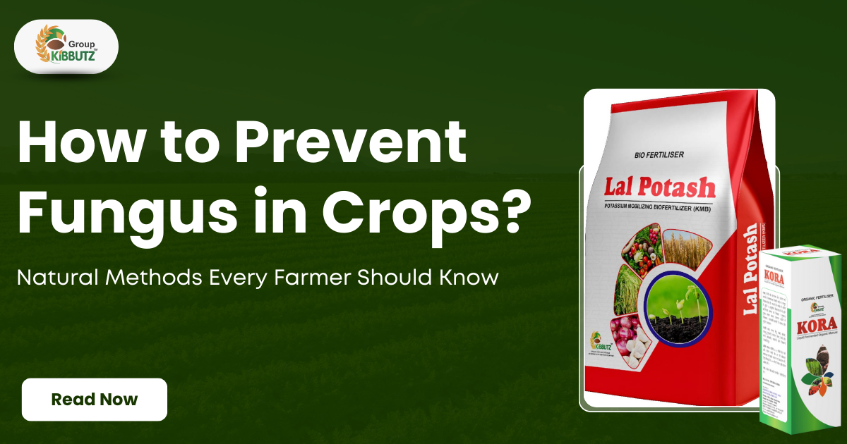 Crop Fungus Prevention: Natural Methods for Healthy Harvests