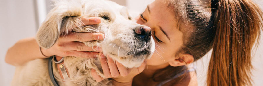 Heartstrings Pet Hospice Cover Image
