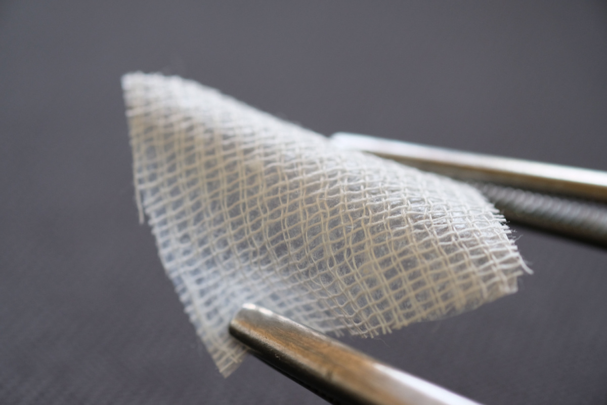 Amniotic Membrane Grafts: Properties, Applications and Its Future