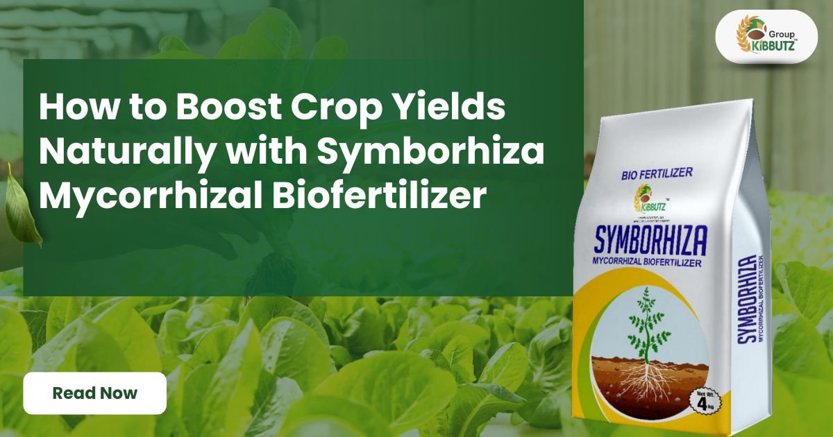 Symborhiza Mycorrhizal Biofertilizer: Boost Crop Yields Naturally