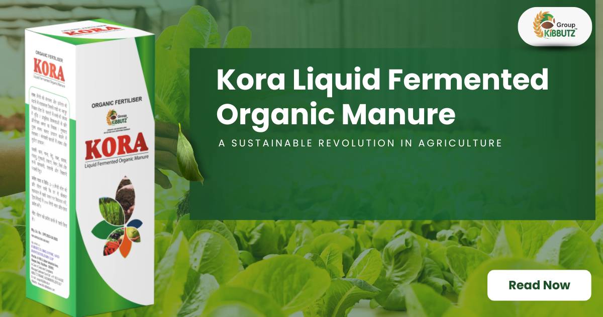 Organic Fertilizer for Healthy Crops and Sustainable Agriculture