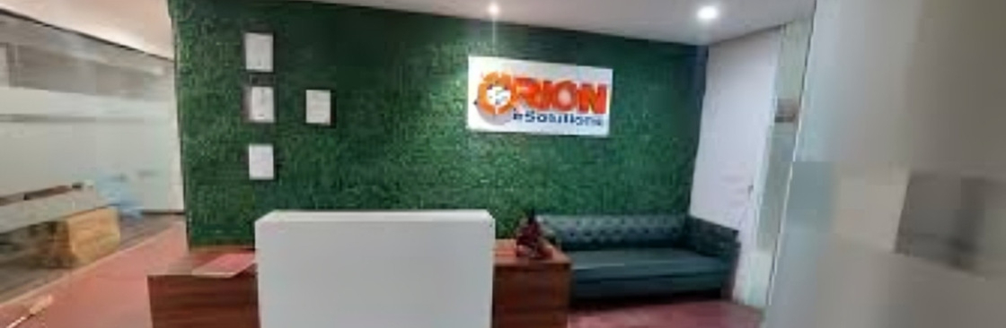 Orion eSolutions Cover Image