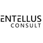 Entellus Consult Profile Picture